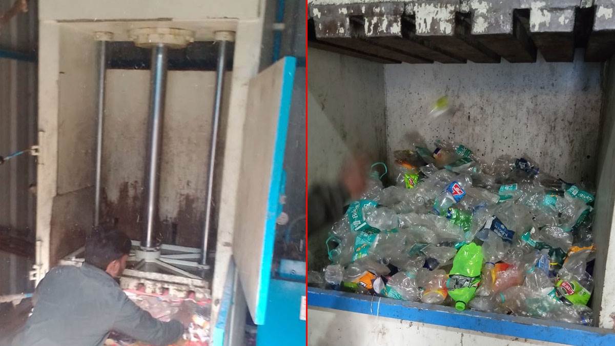 ४रे३व्सेद