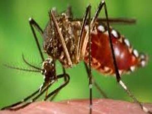 fव्क्य७उह