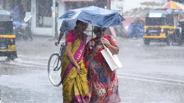 सघेफ्ग्युस