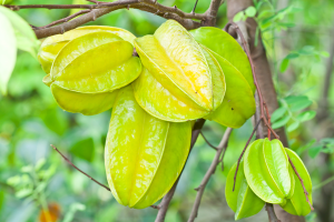 ग्फ्न्यह