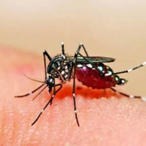 त्युक्झ्ब