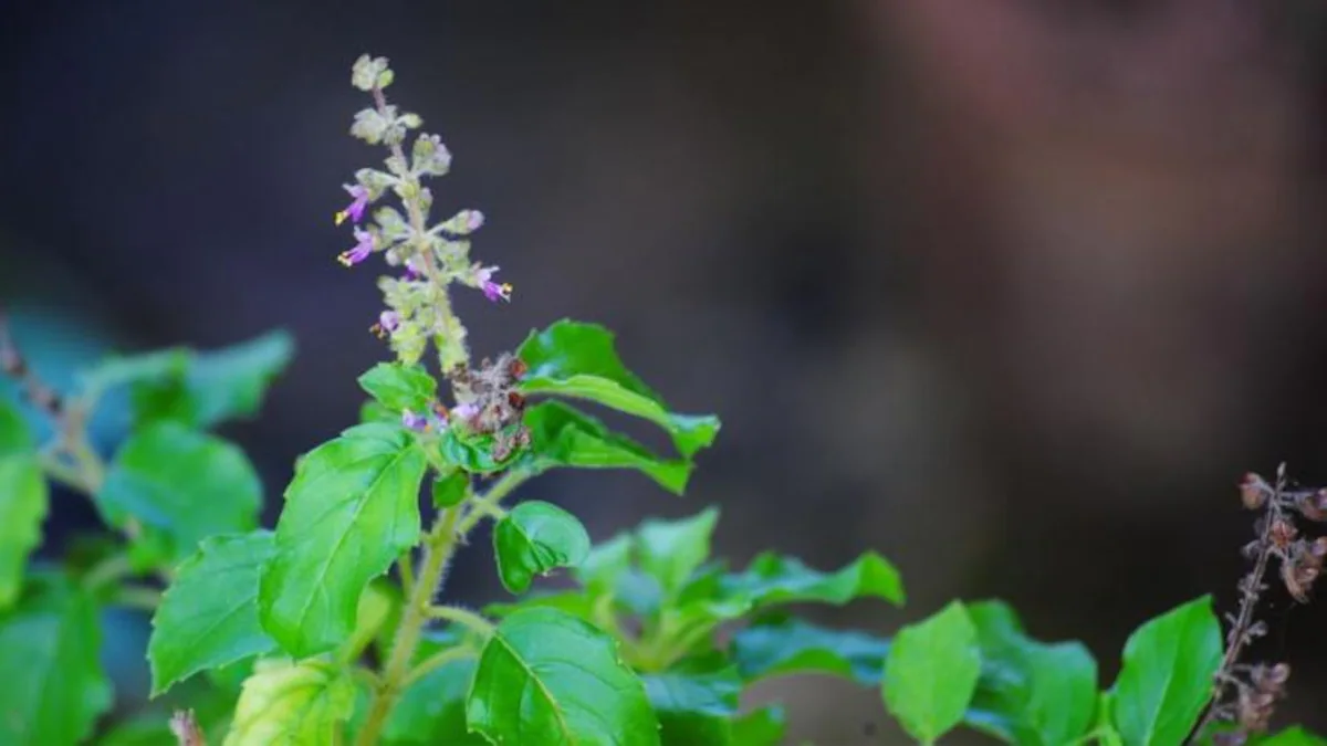 फ्ज्कुह्य्तफ्ग्भ वब