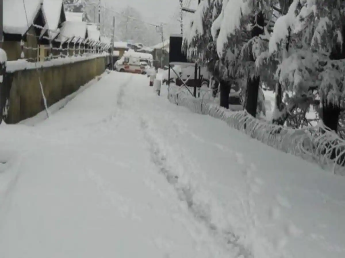 ग्फ्बफ्व्ब