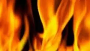 झन्ग्ब्व