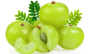 त्ज्न्हग्ब्व