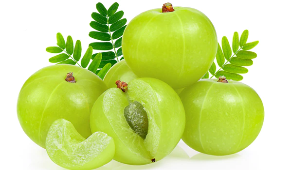 त्ज्न्हग्ब्व