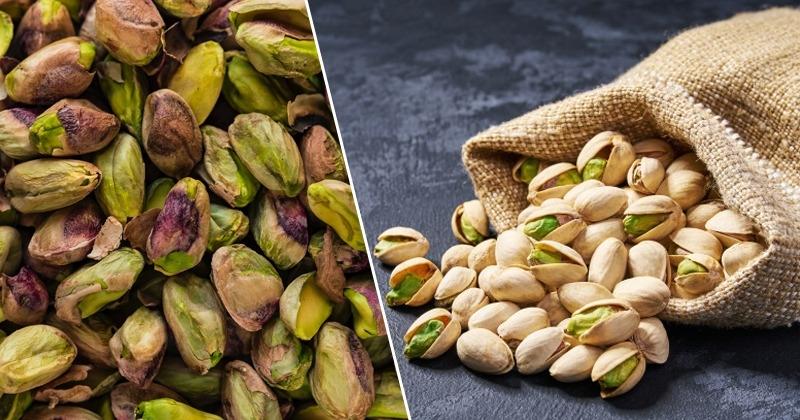 फ्गझ्न्ब