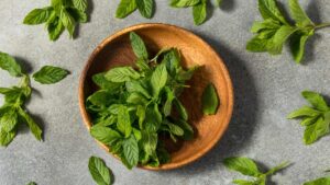 Hब्ग्फब्व