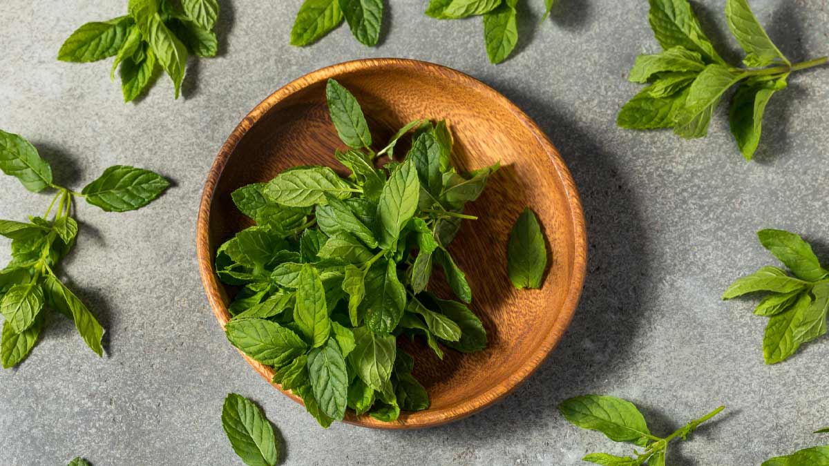 Hब्ग्फब्व