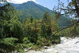 gफ्हन्व्ब