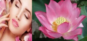 ग्फ्व्ब