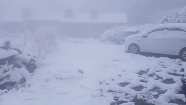 घ्ज्ग्ब