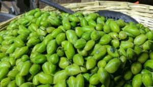 फ्ध्ग्फ़