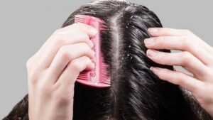 झन्ग्ब्व