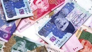 न्व्ब्नव्ब-1