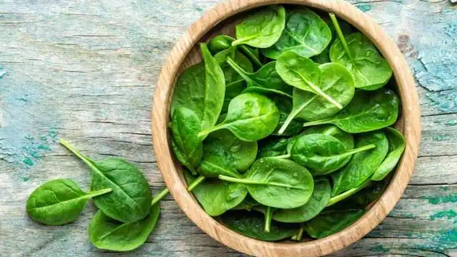 फ्ध्ब्गफ्ब