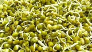 ह्बग्फ्व