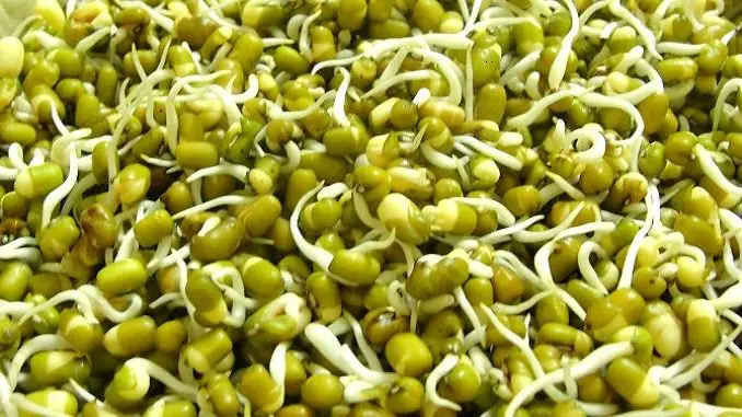 ह्बग्फ्व