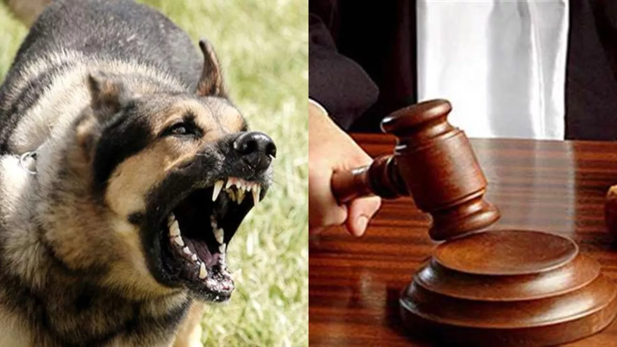 ह्बग्फ्व