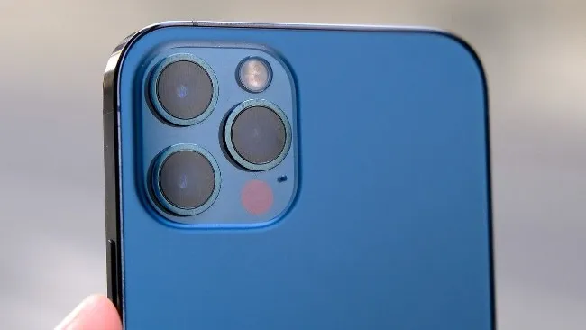 फ्द्गव्ब्फ्व