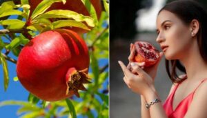 फ्धब्ग्फ़