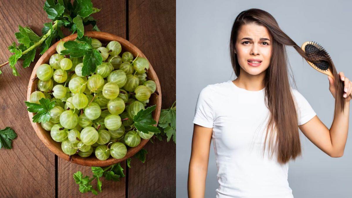 ह्ब्ग्फ़