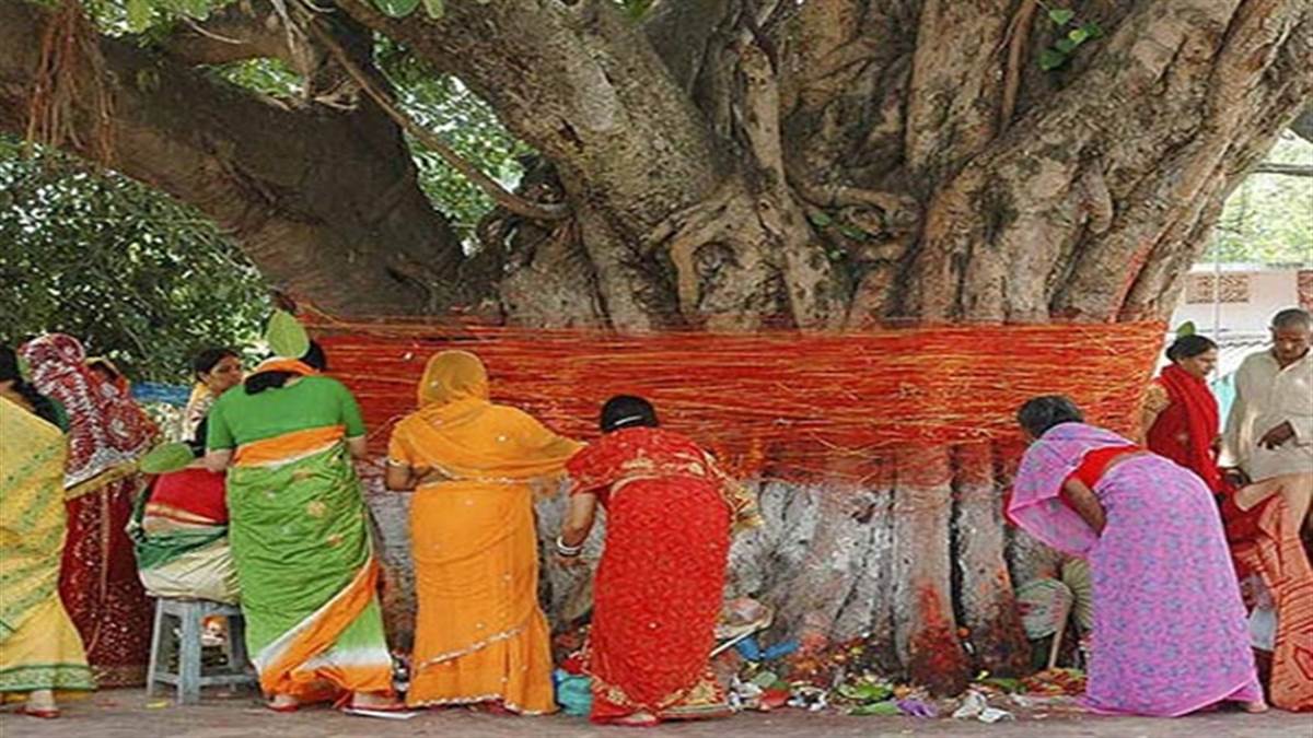 द्सग्व्फ्दच्क्स हब