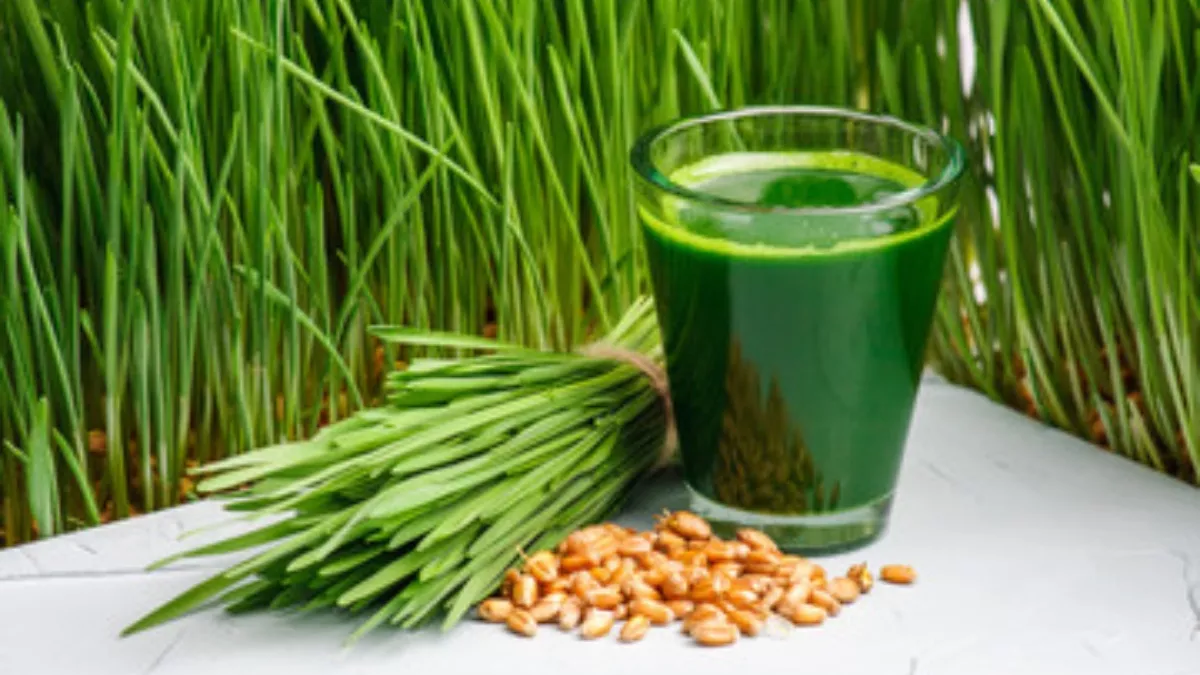 द्स्फ्क