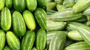 द्स्वच्फ़