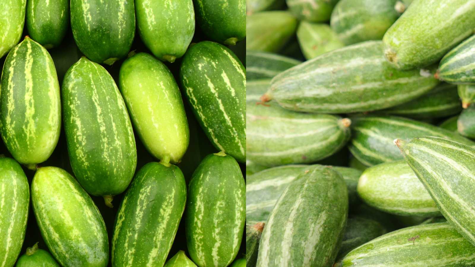 द्स्वच्फ़