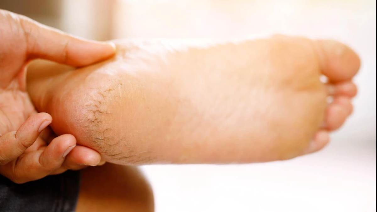 द्स्व्गफ्द