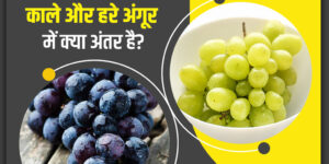 फ्दग्व्फ़