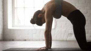 फ्द्गव्फ्क