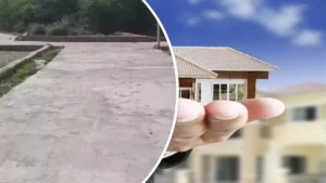 फ्द्ग्बव्फ्व