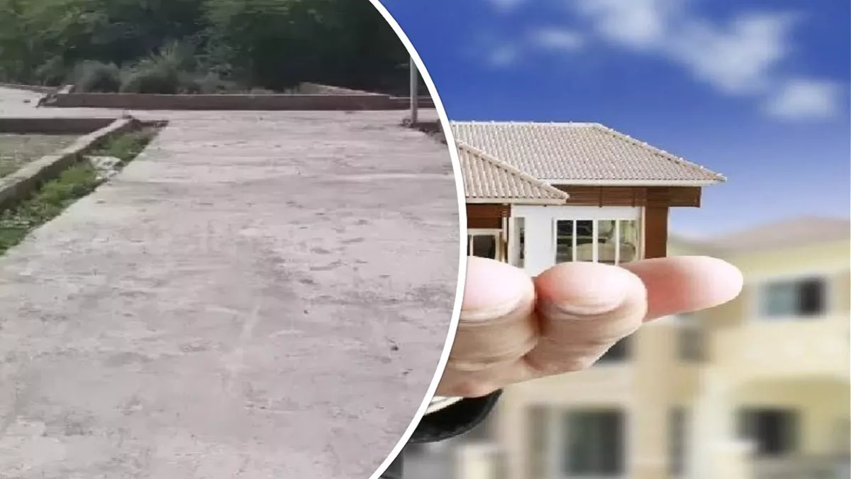 फ्द्ग्बव्फ्व