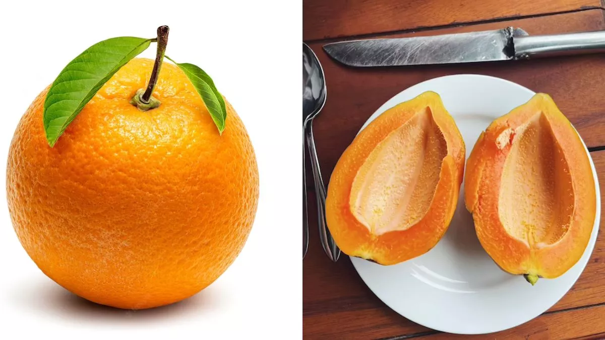 फ्ब्ग्व