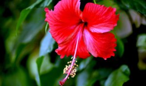 ब्द्फब्द्फ़