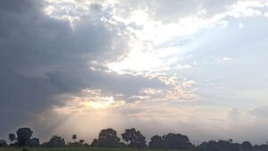 स्द्व्फद्क