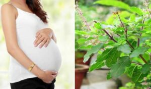 न्झ्ग्ब