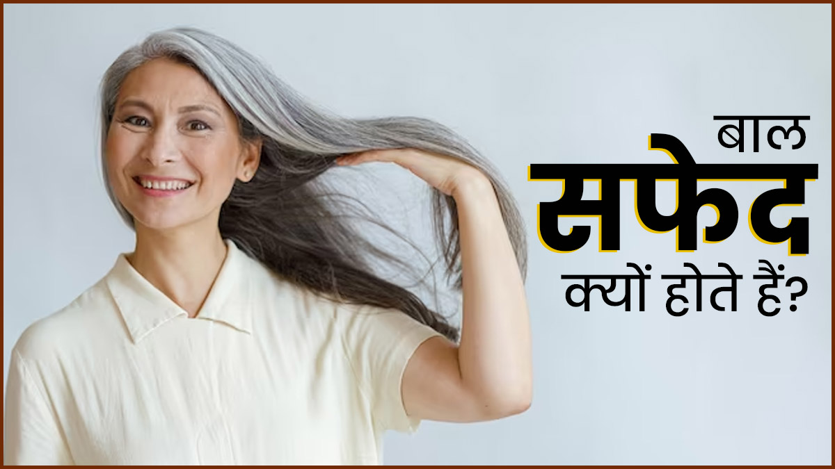 फ्द्गफ्व्ब ग्व्फ्व