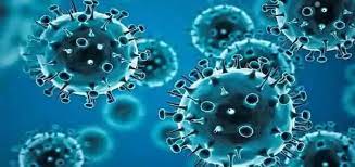 फ्द्गव्फ्क