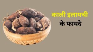 फ्ध्बग्फ्व