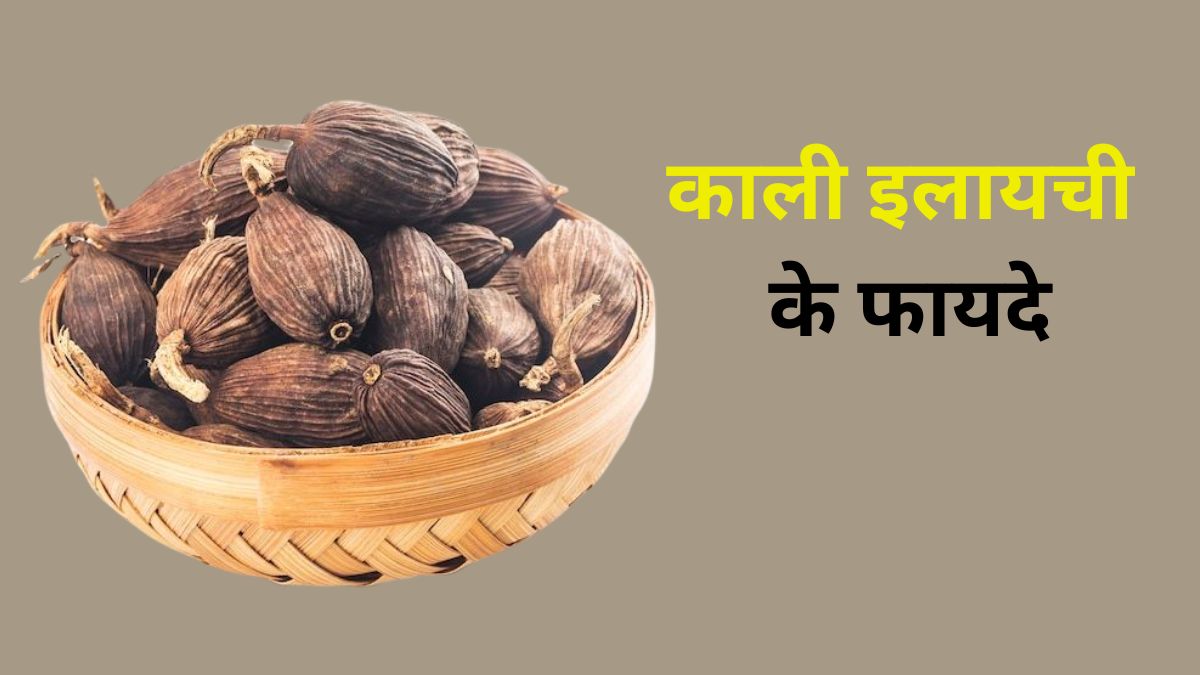 फ्ध्बग्फ्व