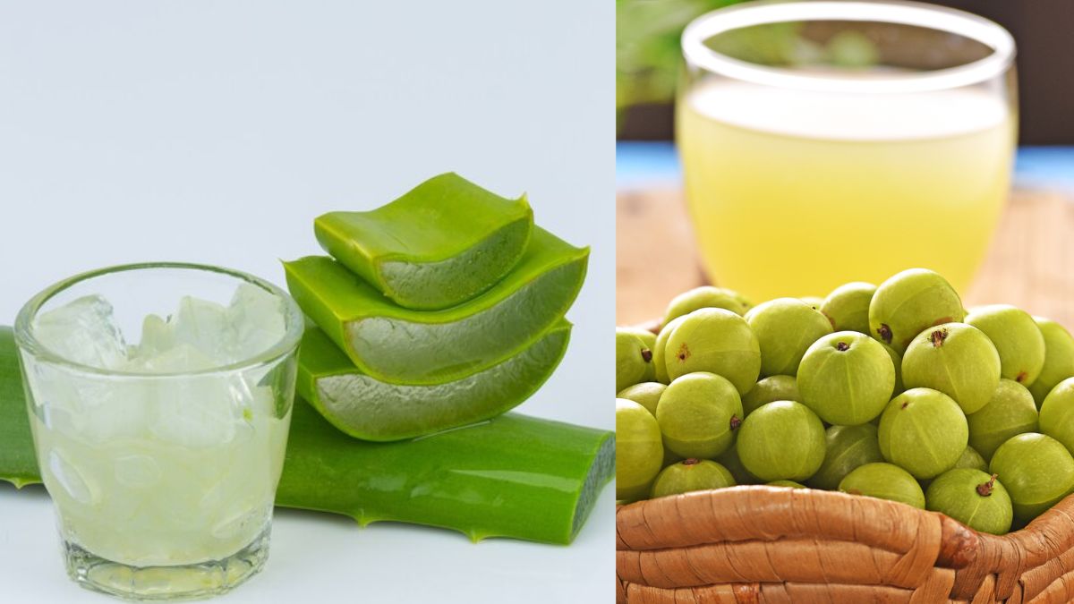 ह्बग्फ्व