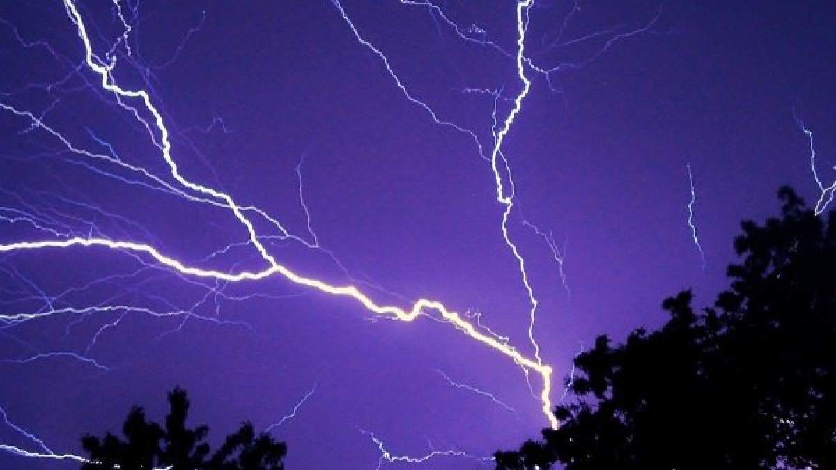 ज्क्सच्सा