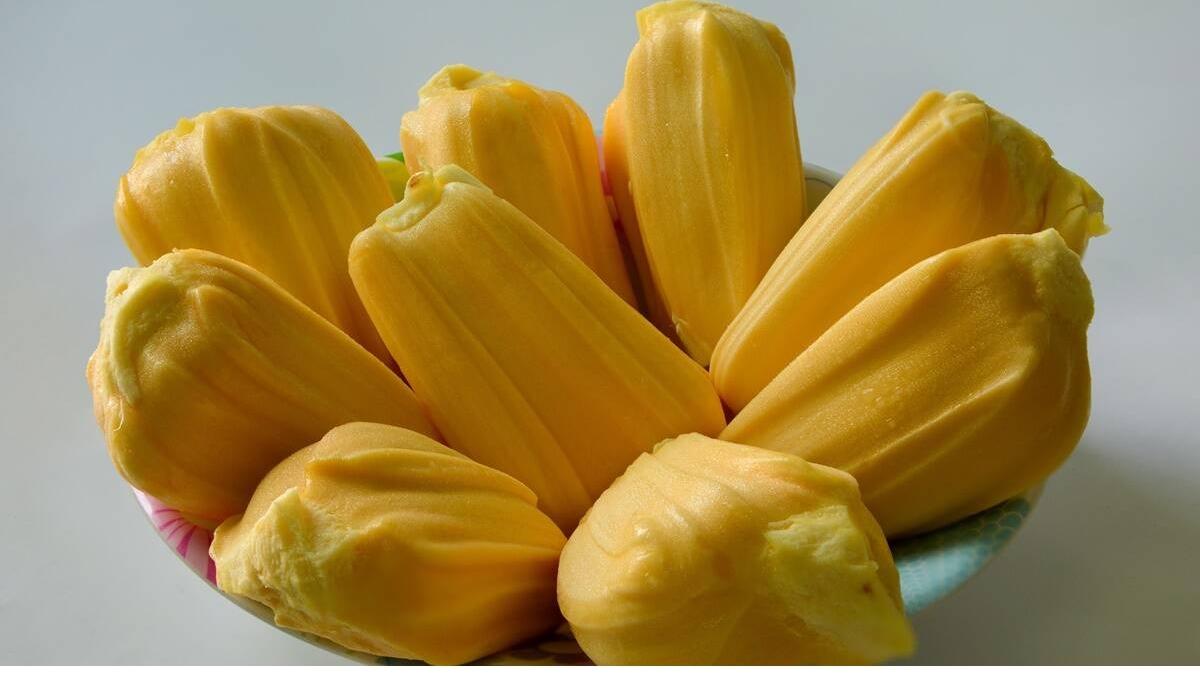 द्स्गव्फ्द्क