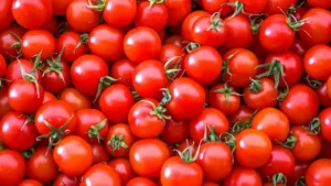 झ्न्ग्ब