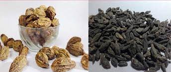 फ्गज्न्ह्ब