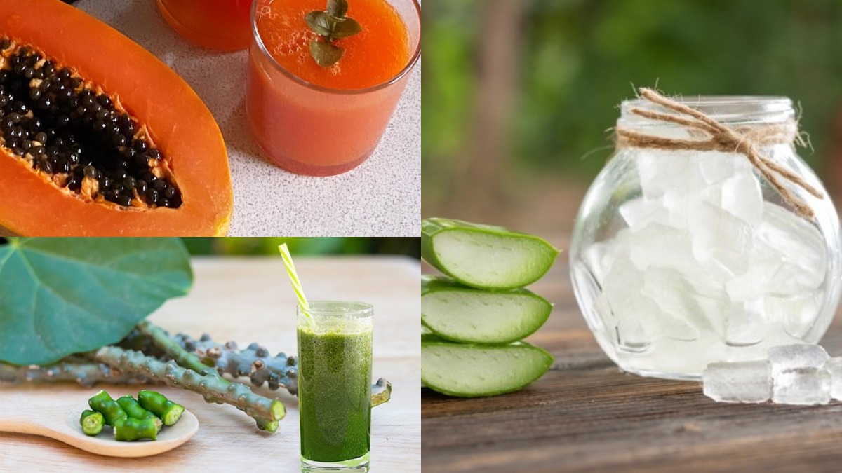 फ्द्स्गब्व्फ्व