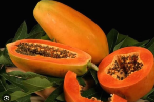 Screenshot 2023-10-13 101037